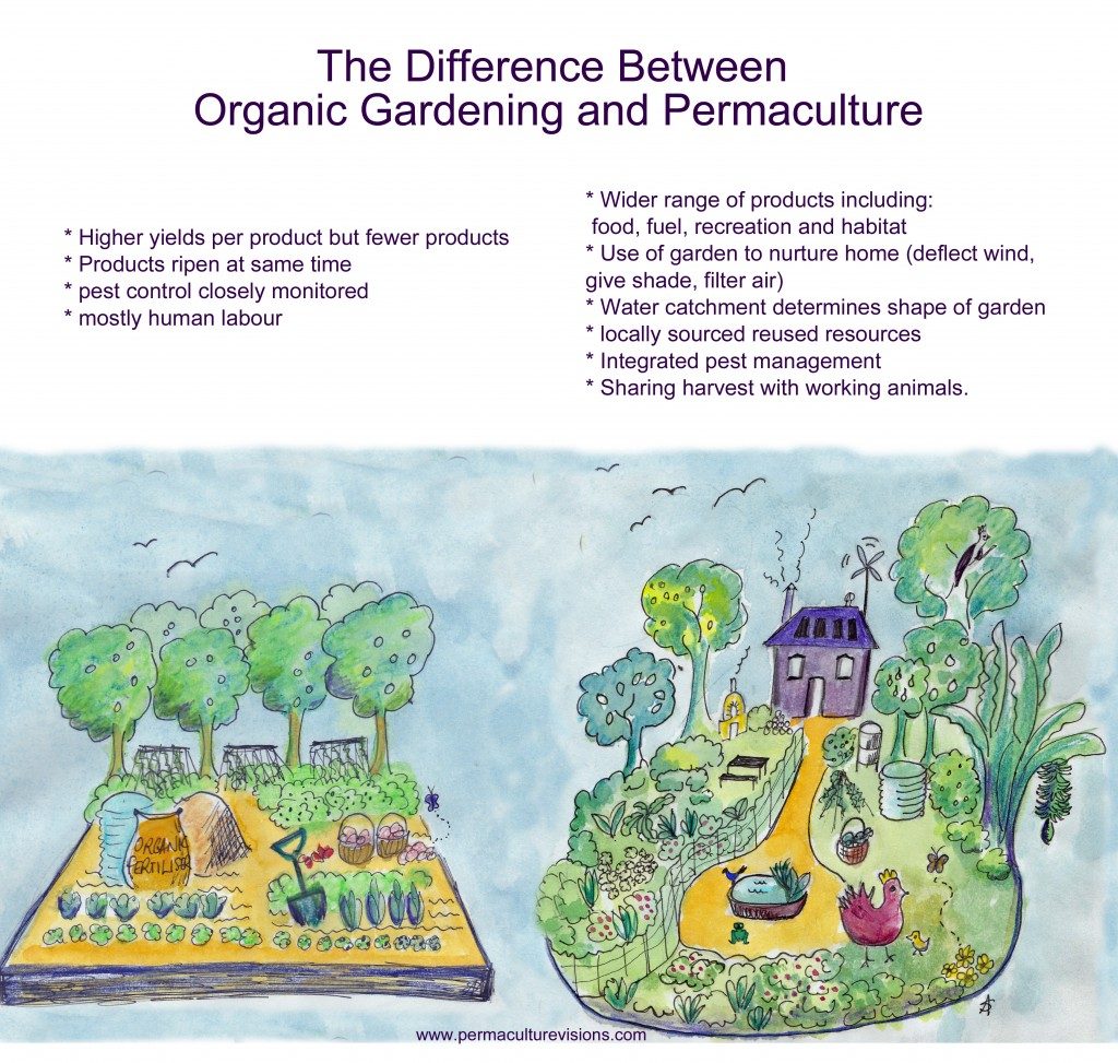 organic farming vs permaculture
