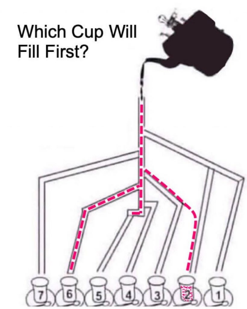 Which cup will fill first Answer