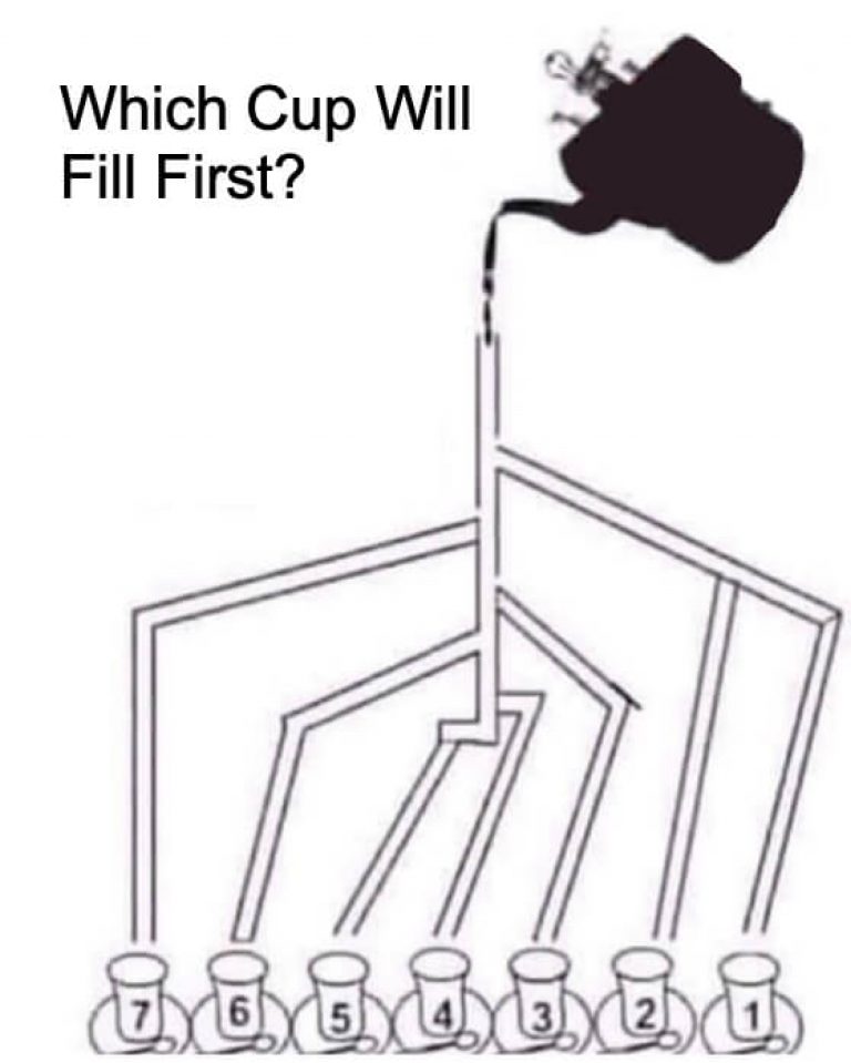 Which Cup Will Fill First Answer (SOLVED)