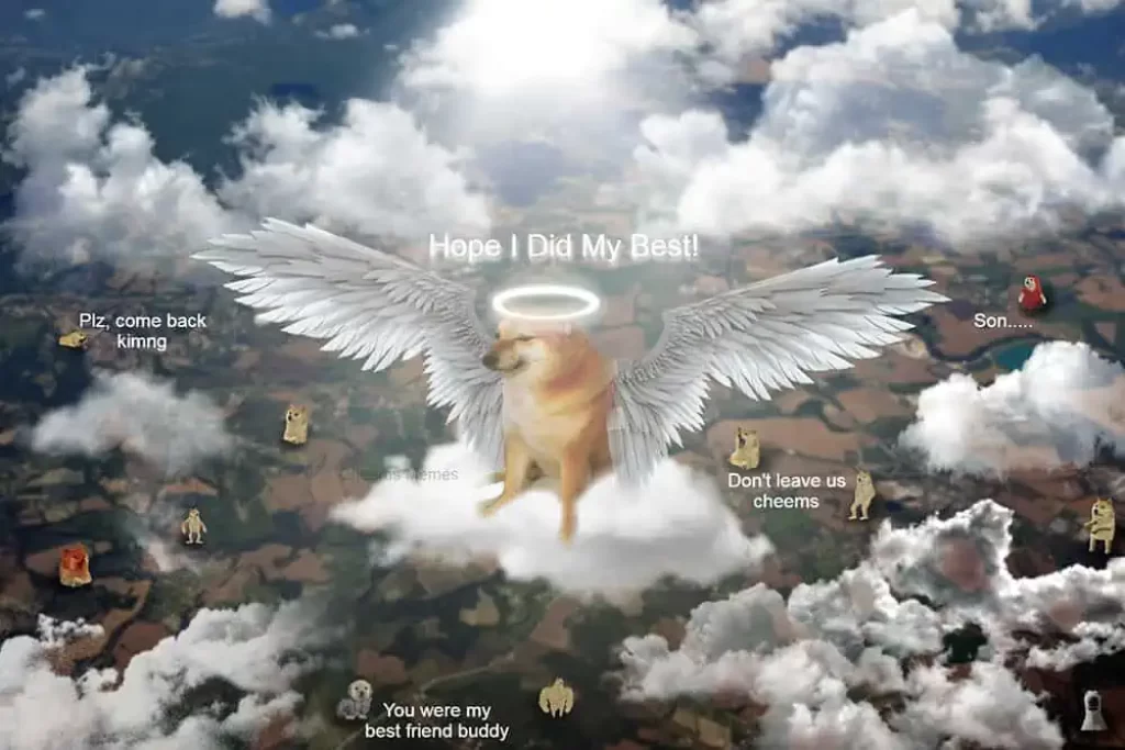 RIP Cheems, the most viral dog on the internet dies