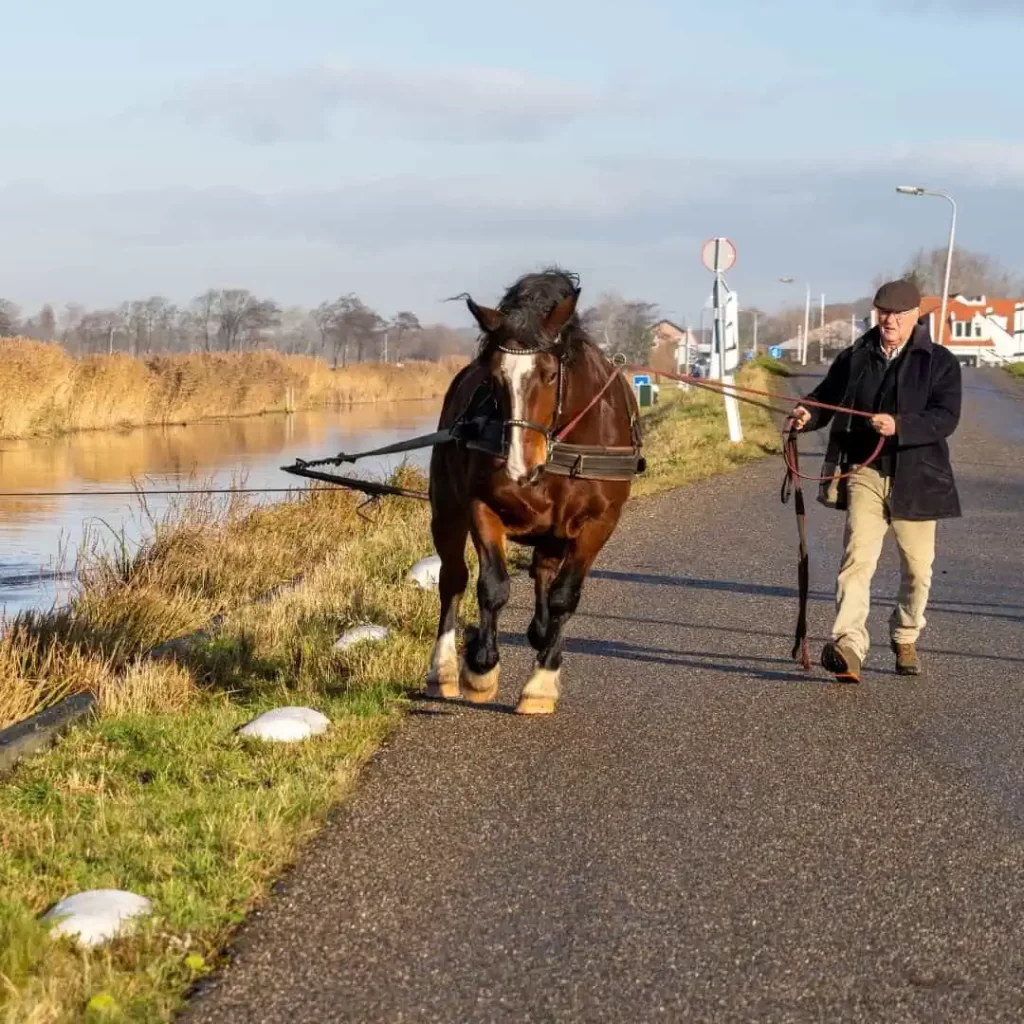 The Snake Bridge Legacy How Horses Powered England's Canal History