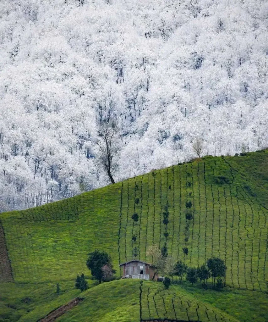 Discover Amlash A Serene Getaway in Gilan Province, Iran