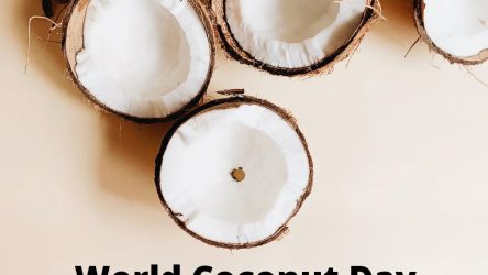 World Coconut Day – September 02