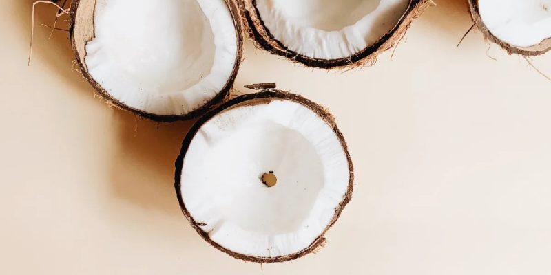 World Coconut Day – September 02